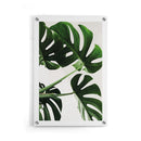 Planten poster