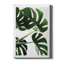 Planten poster