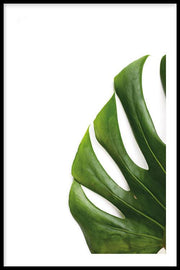 Planten poster