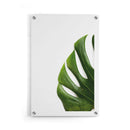 Planten poster