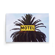 Palmboom poster