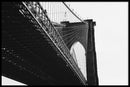 Brooklyn Bridge poster