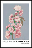 Ogawa Kazumasa - Cherry Blossom - Walljar