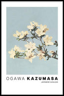Ogawa Kazumasa - Japanese Azaleas - Walljar