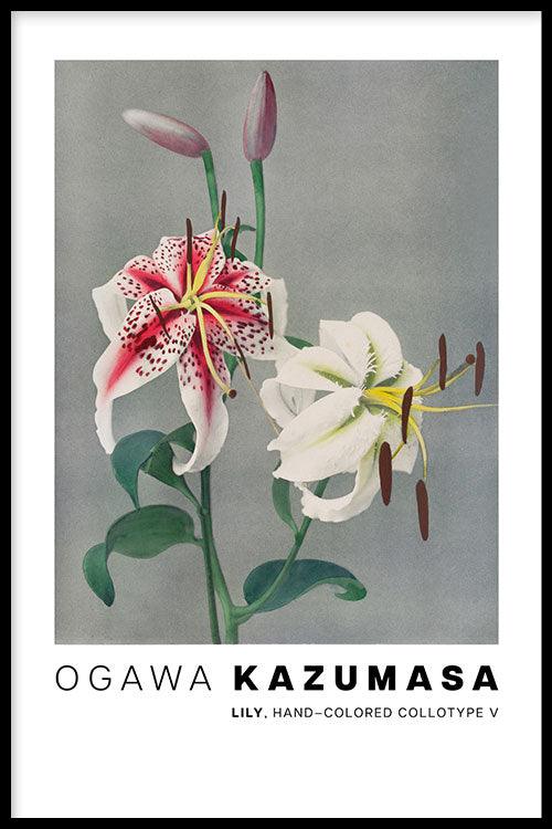 Ogawa Kazumasa collection | Walljar.com