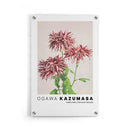 Ogawa Kazumasa - Three Pink Chrysanthemum - Walljar