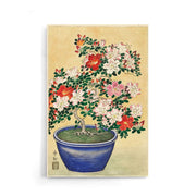 Ohara Koson - Blooming Azalea In Blue Pot - Walljar