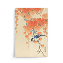 Ohara Koson - Great Tit On Paulownia Branch - Walljar