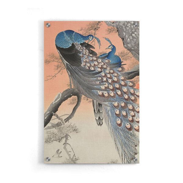 Ohara Koson - Two Peacocks On Tree Branch - Walljar