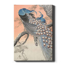 Ohara Koson - Two Peacocks On Tree Branch - Walljar