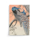 Ohara Koson - Two Peacocks On Tree Branch - Walljar