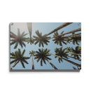 Onder De Palmbomen - Walljar