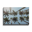 Onder De Palmbomen - Walljar