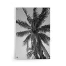 Palmbomen poster
