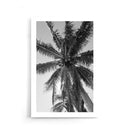Palmbomen poster