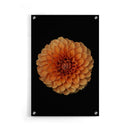 Bloemen poster