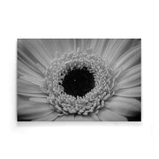 Bloemen poster
