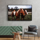 Paarden poster