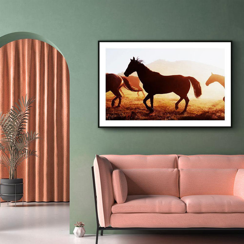 Paarden poster