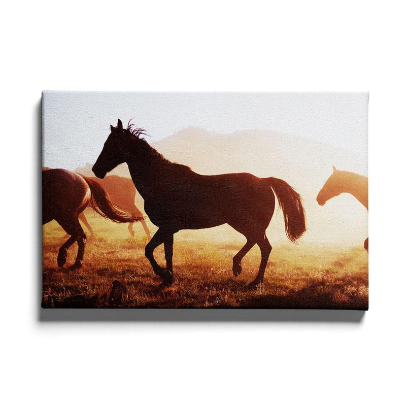 Paarden poster