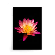 Bloemen poster