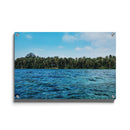 Tropische wanddecoratie