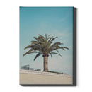 Palm Blauwe Lucht - Walljar