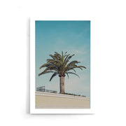 Palm Blauwe Lucht - Walljar