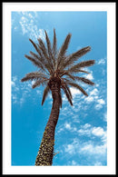 Palm Curves - Walljar