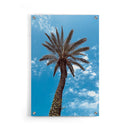 Palm Curves - Walljar