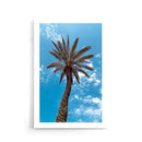 Palm Curves - Walljar
