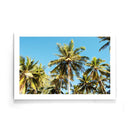 Palmbomen poster