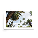 Palmbomen poster