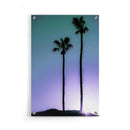 Palmbomen poster
