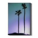 Palmbomen poster