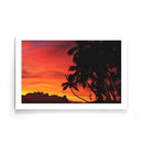 Palmbomen poster