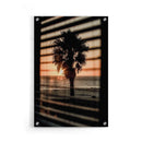 Palmboom Zonsopgang - Walljar