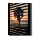 Palmboom Zonsopgang - Walljar