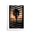 Palmboom Zonsopgang - Walljar