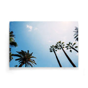 Palmboom poster