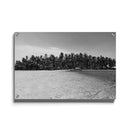 Tropische wanddecoratie