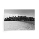 Tropische wanddecoratie