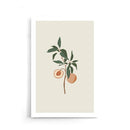 Abstracte kunst poster