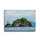 Tropische wanddecoratie