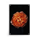 Bloemen poster