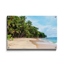 Tropische wanddecoratie