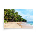 Tropische wanddecoratie