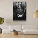 Close up Ox II - Walljar