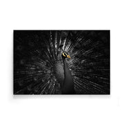 Golden Peacock II - Walljar