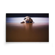Hond poster